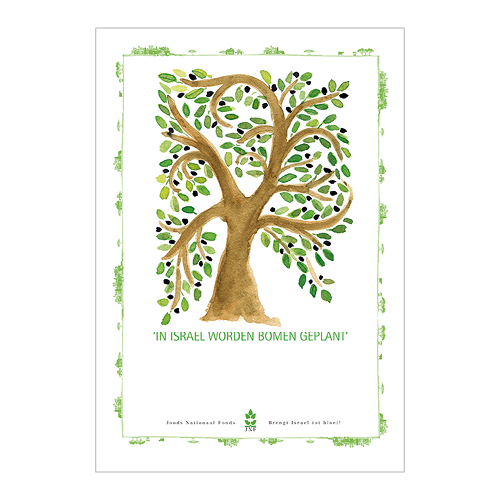 Olive Tree Certificaat