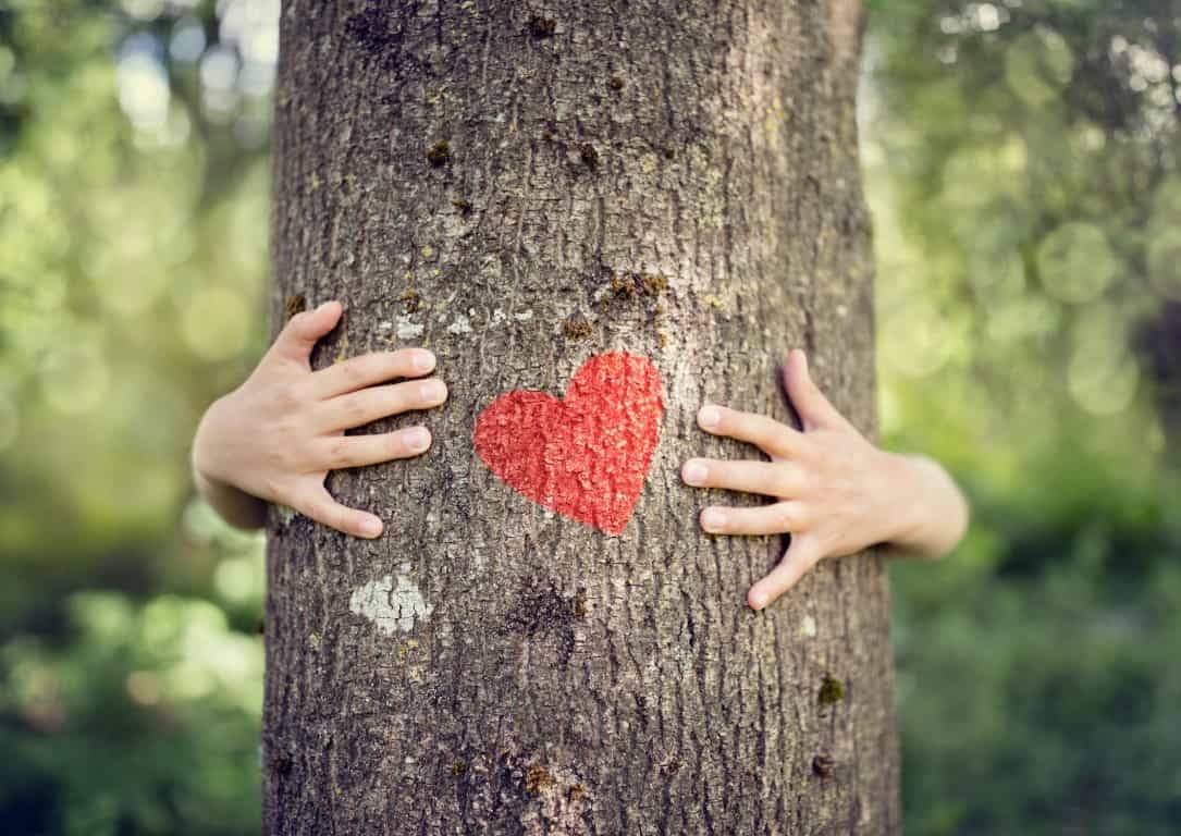 Liefde voor bomen