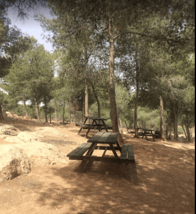 Ambassadeur ZAV & Mary Sufott Park