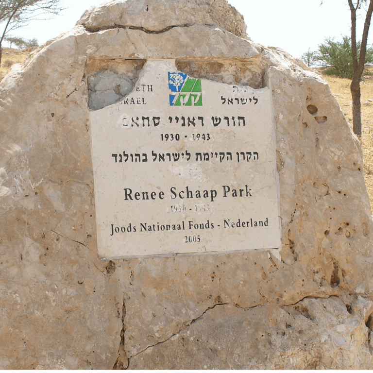 Het Renée Schaap Park