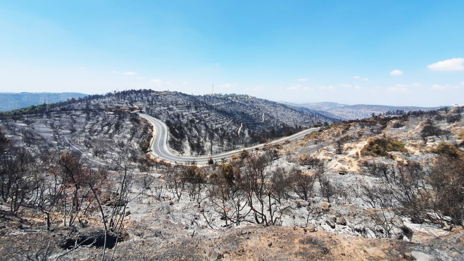 Verbrande bossen rondom Jeruzalem - project informatie 68e JNF loterij