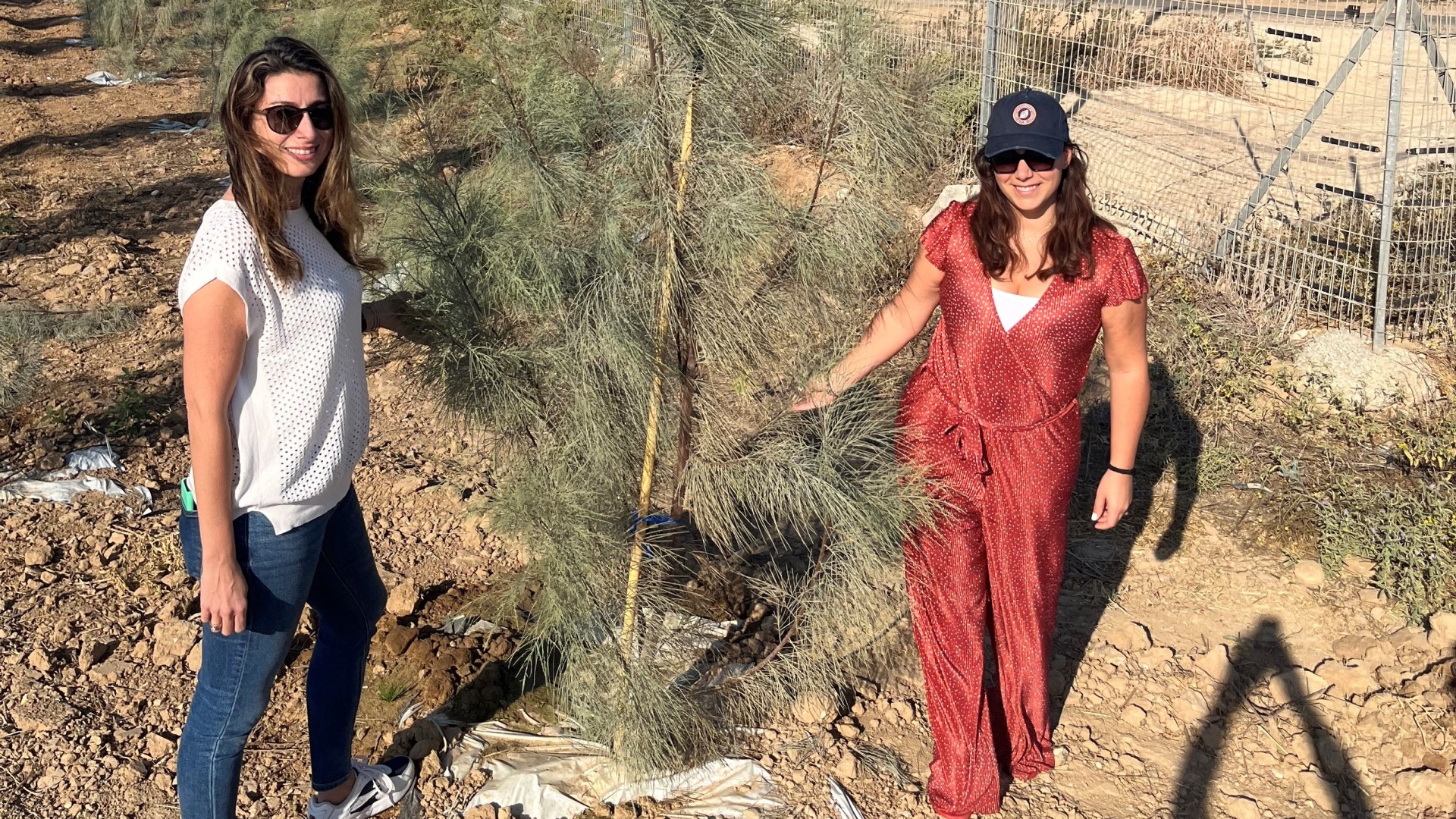 Maak kennis met Isabel en Lucille -planten een boom in Israël