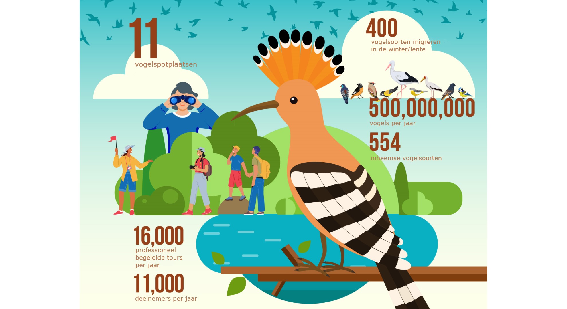 Infographic vogelspotten Hula Vallei - Een internationaal geprezen ecologisch park
