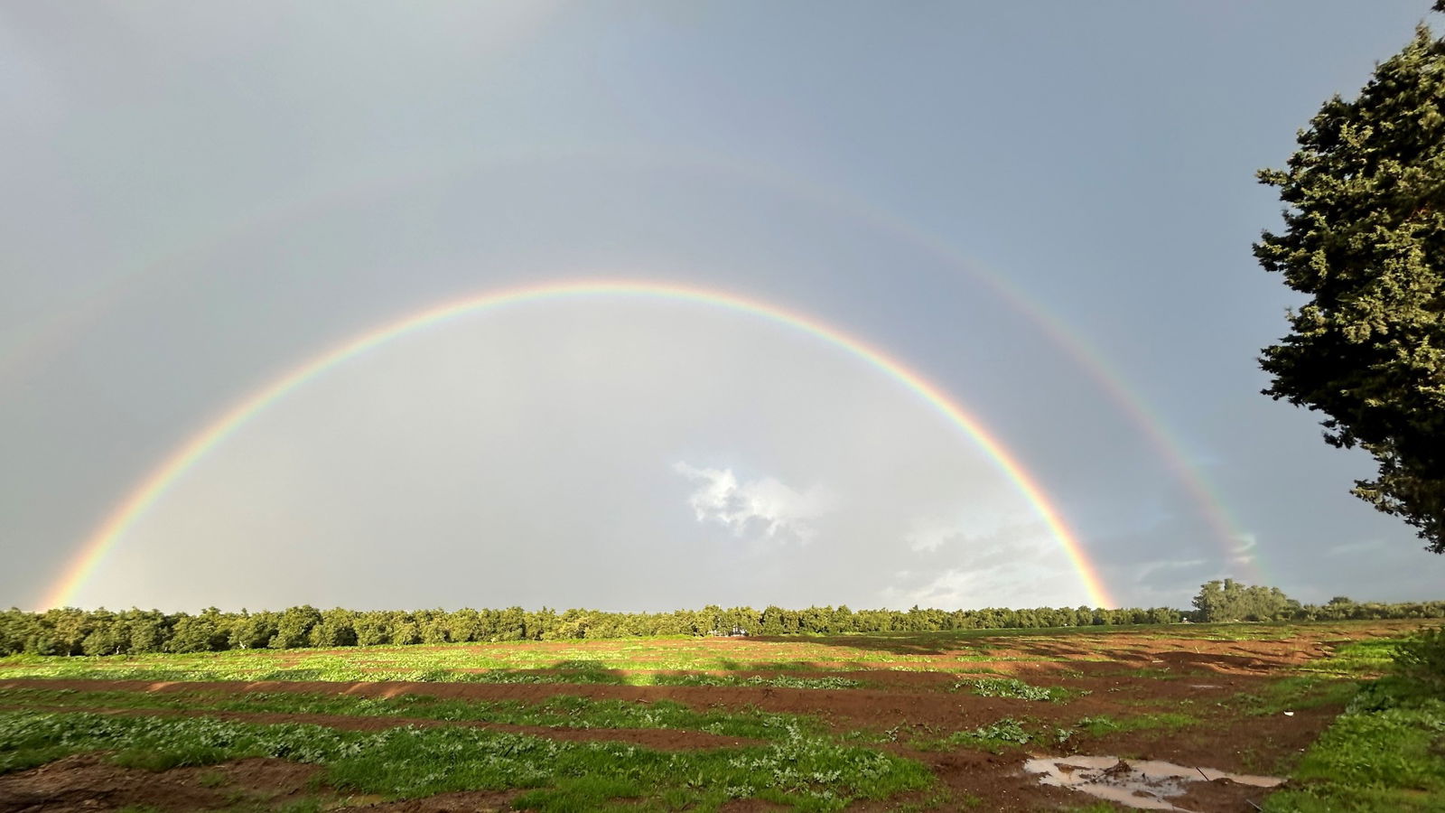 Joanne's blog 26 - Dubbele regenboog