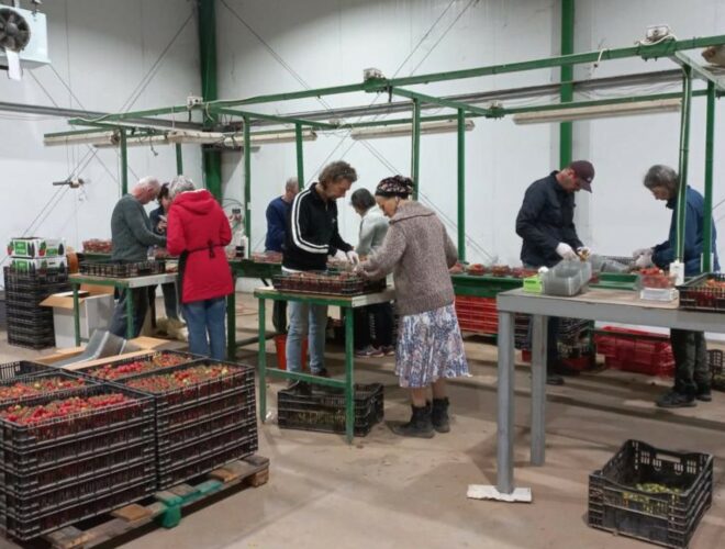 Vrijwilligerswerk in Nitzana