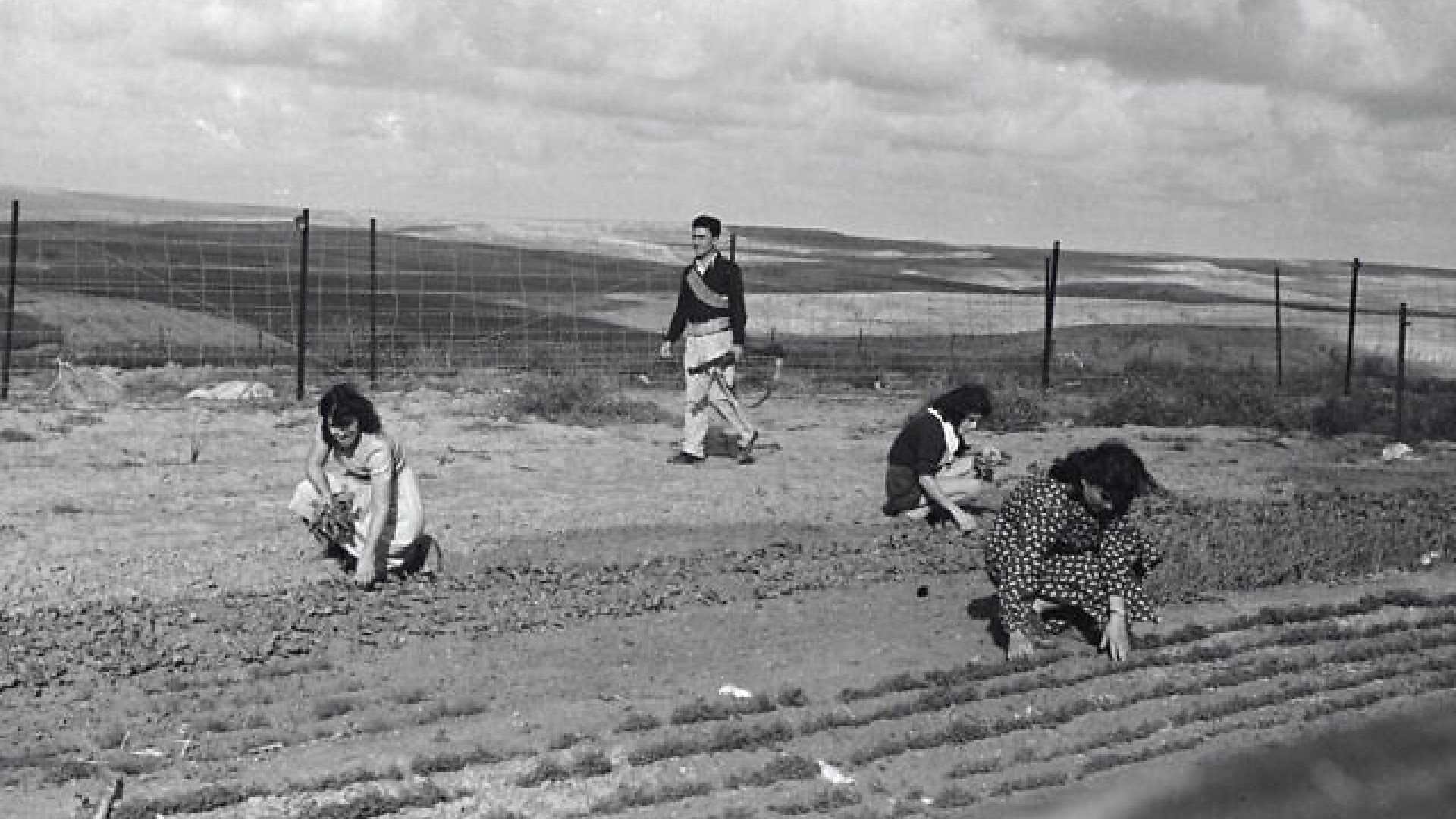 Landbouw bij kibboets Be'eri - Eshkol regio