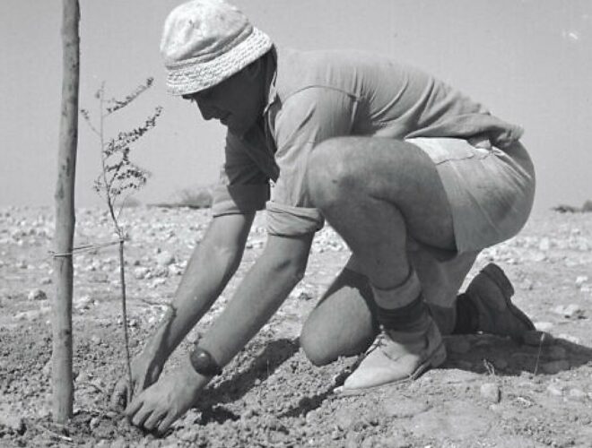Eerste boom planting in Mishmar Hanegev in het Zuiden van Israël