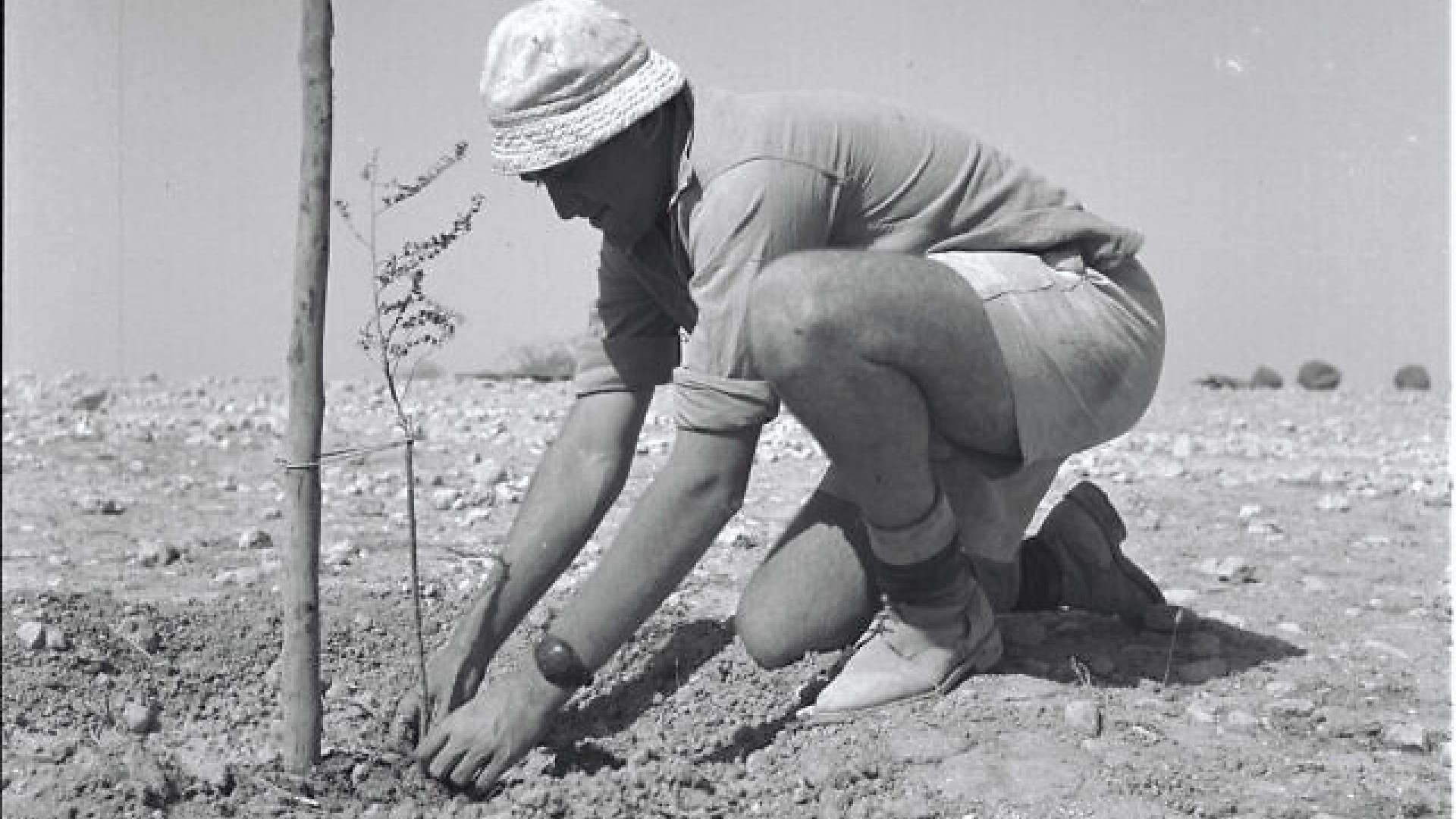 Eerste boom planting in Mishmar Hanegev in het Zuiden van Israël