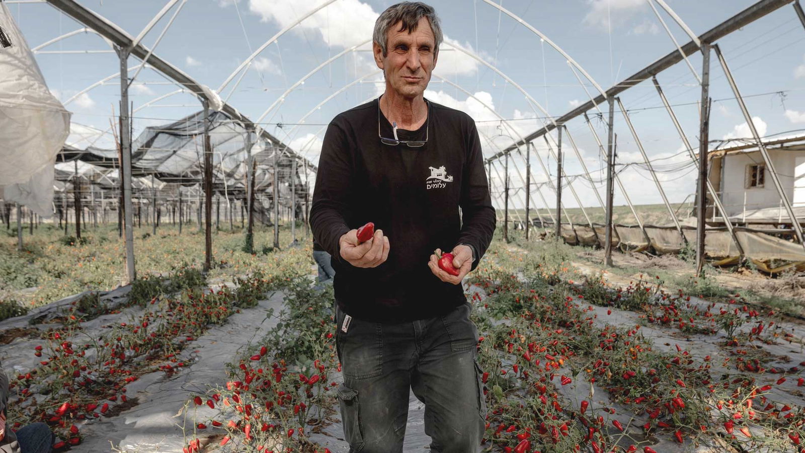 Samen sterk voor de landbouw - verwoeste green houses en opbrengst.