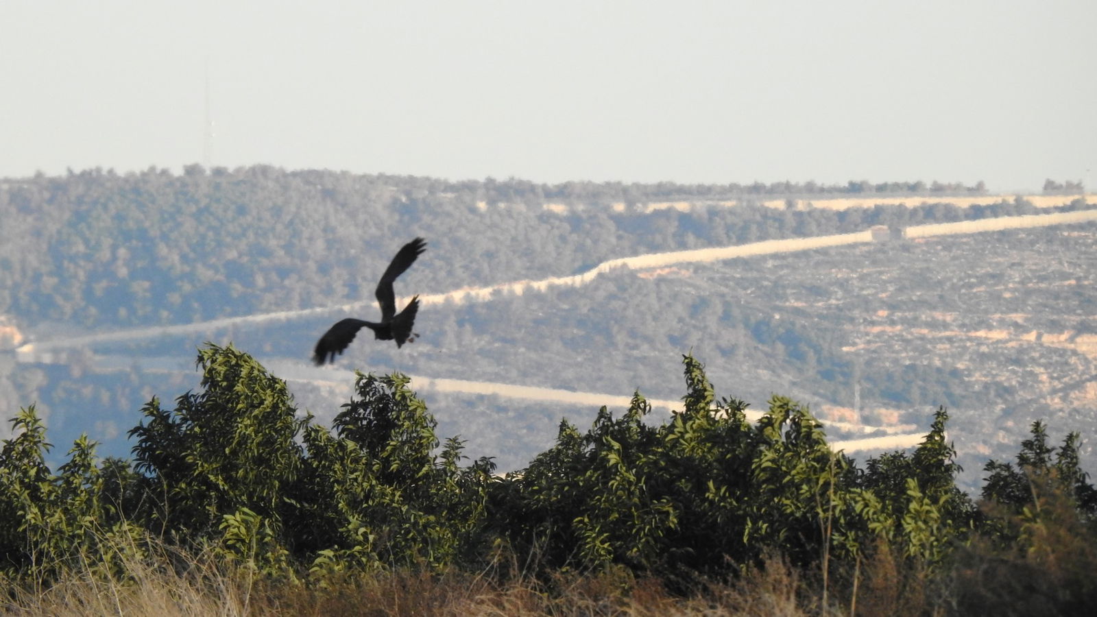 Joanne's blog 33 - Grens israël en Libanon