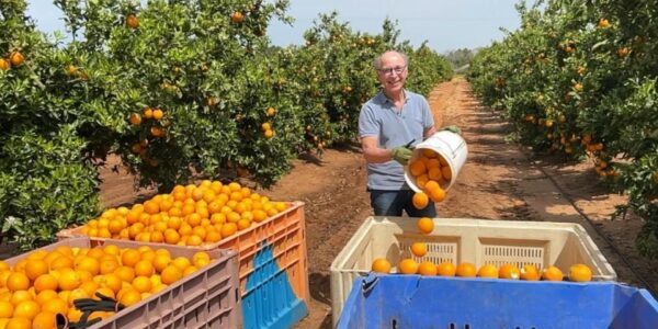 Joanne's blog 35 - Moshe kon plukt sinaasappels