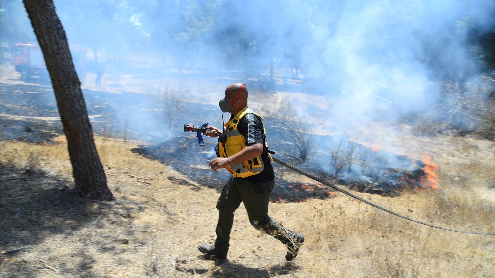 Bosbrand Be'eri woud - Bomen planten