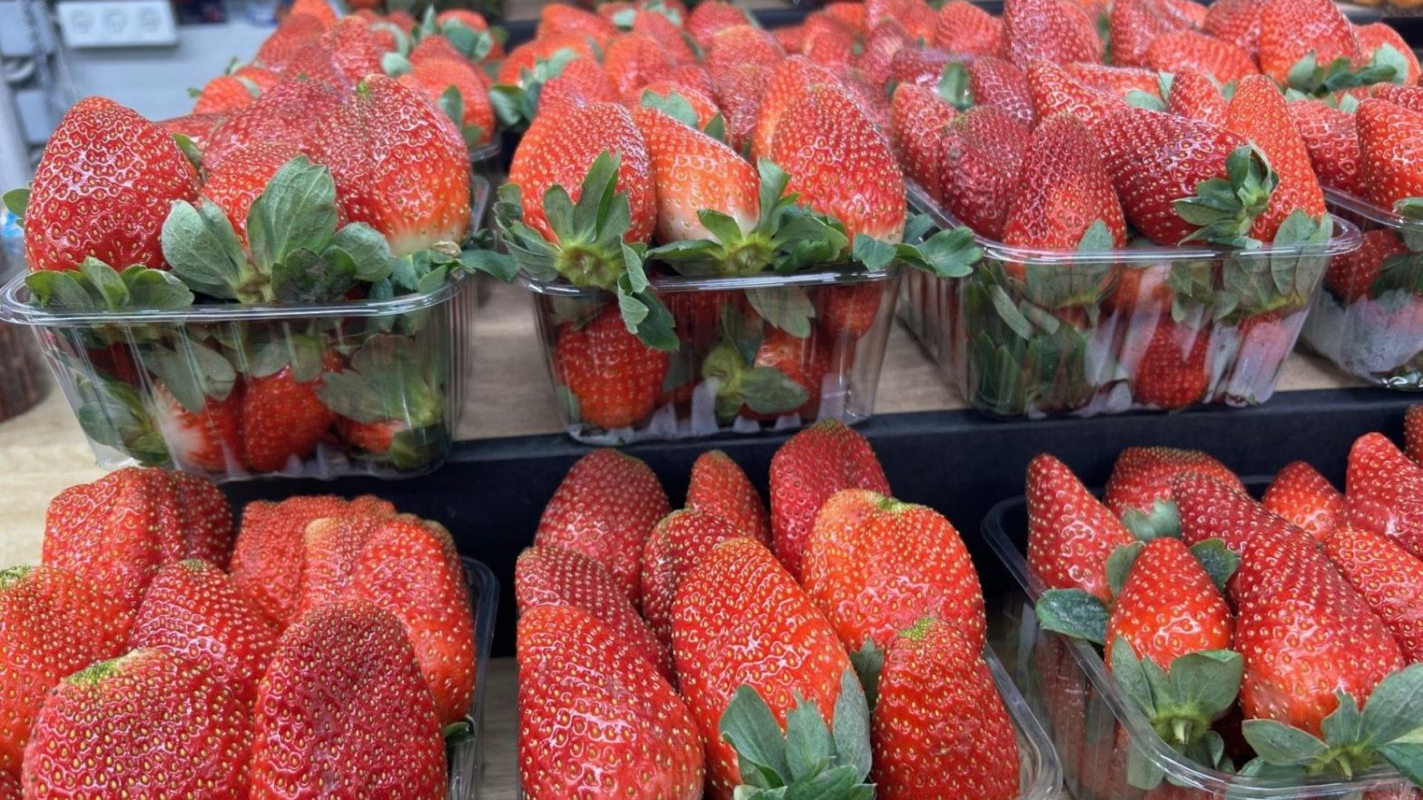 Joanne's blog 75 - Aardbeien