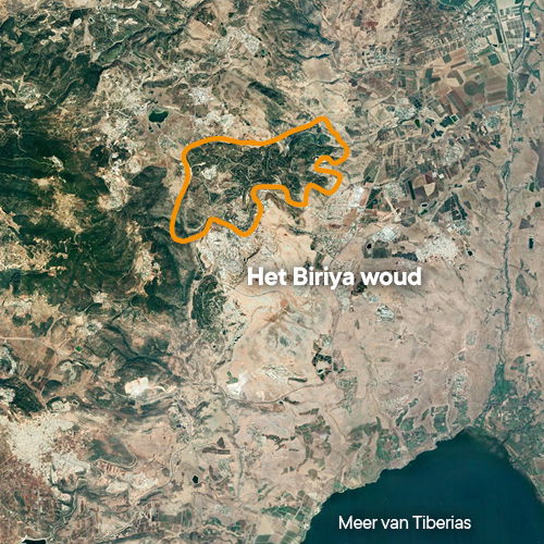 Het Biriya woud - kaart