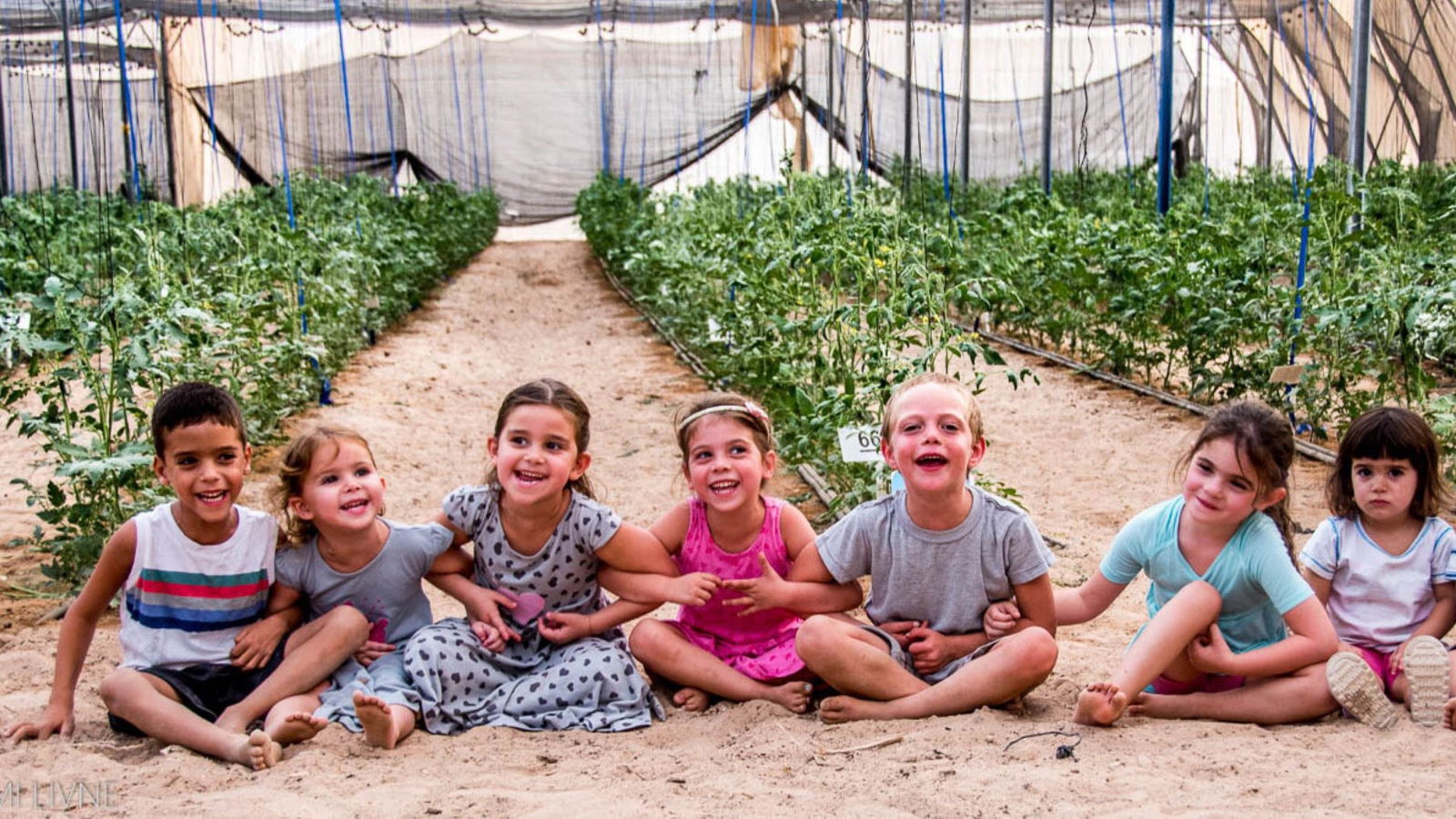 Kinderen in een Arava green house