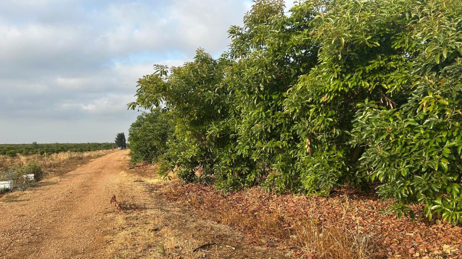 Joanne's blog 91 - natuur in het noorden