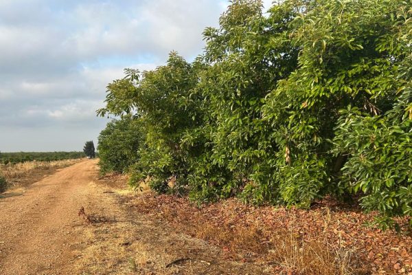 Joanne's blog 91 - natuur in het noorden