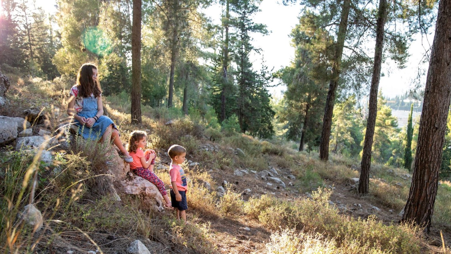 Kinderen in de bossen van Jeruzalem
