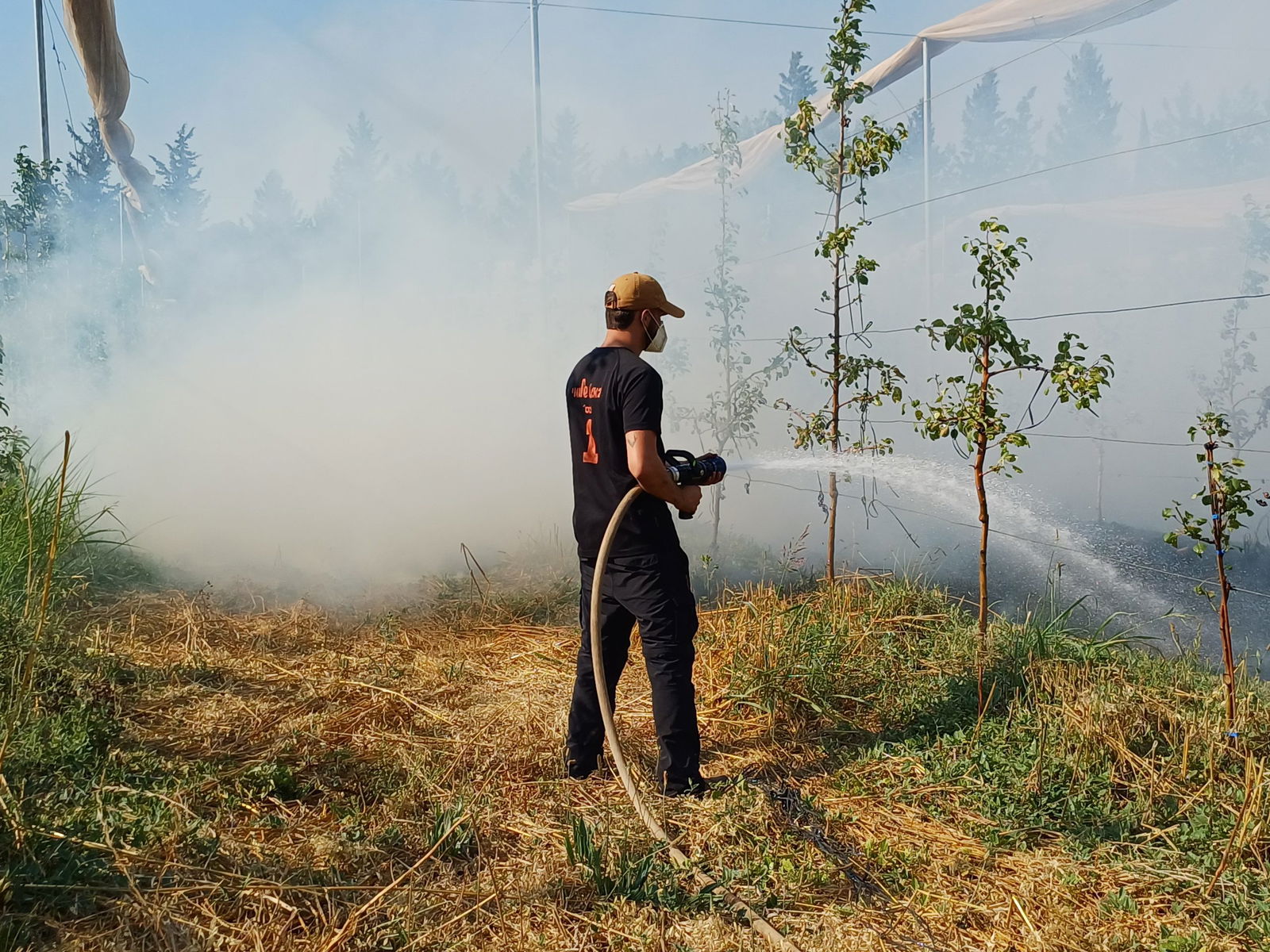 Schade in het noorden, door brand hele boomgaarden verwoest.