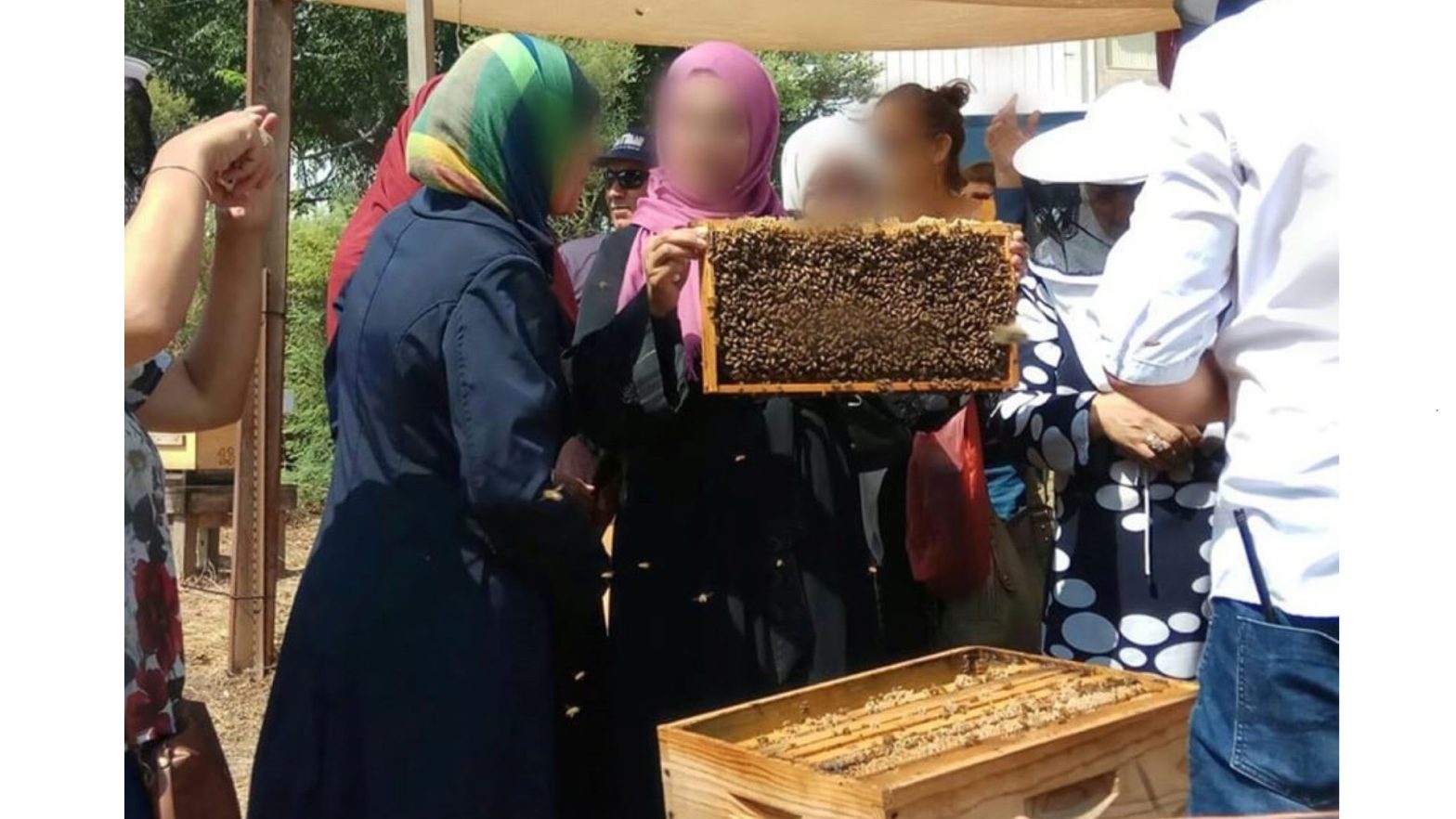 Joanne's blog 97 - Bees for peace, vrouwen die bijen houden