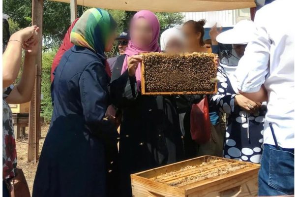 Joanne's blog 97 - Bees for peace, vrouwen die bijen houden
