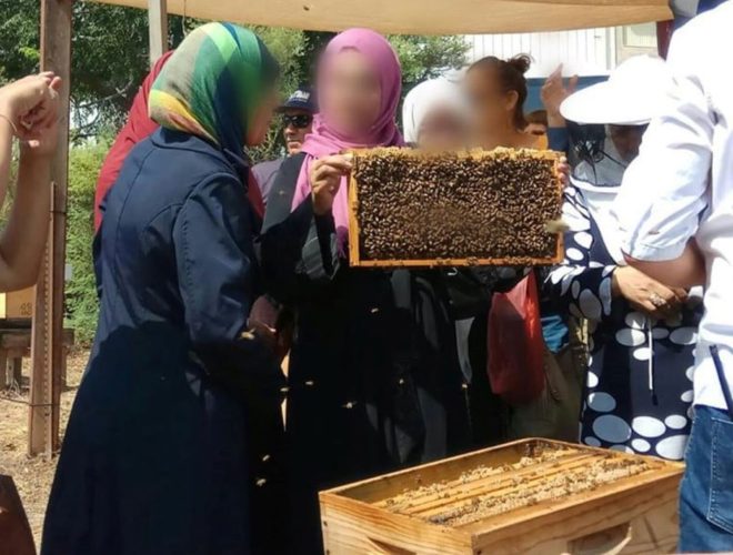 Joanne's blog 97 - Bees for peace, vrouwen die bijen houden