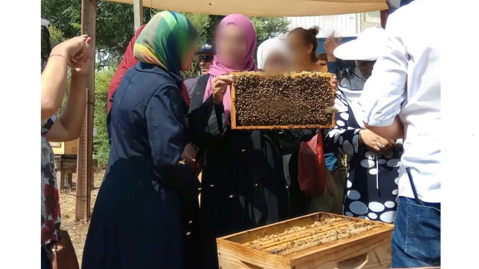 Joanne's blog 97 - Bees for peace, vrouwen die bijen houden