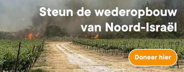 Steun de wederopbouw van het noorden!