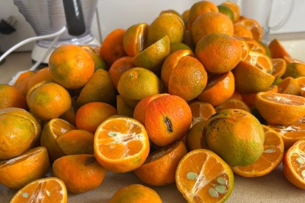 WhatsApp Image 2025-11-17 at 10.01.58 (6) - website Joanne's blog 112 - Manderijnen