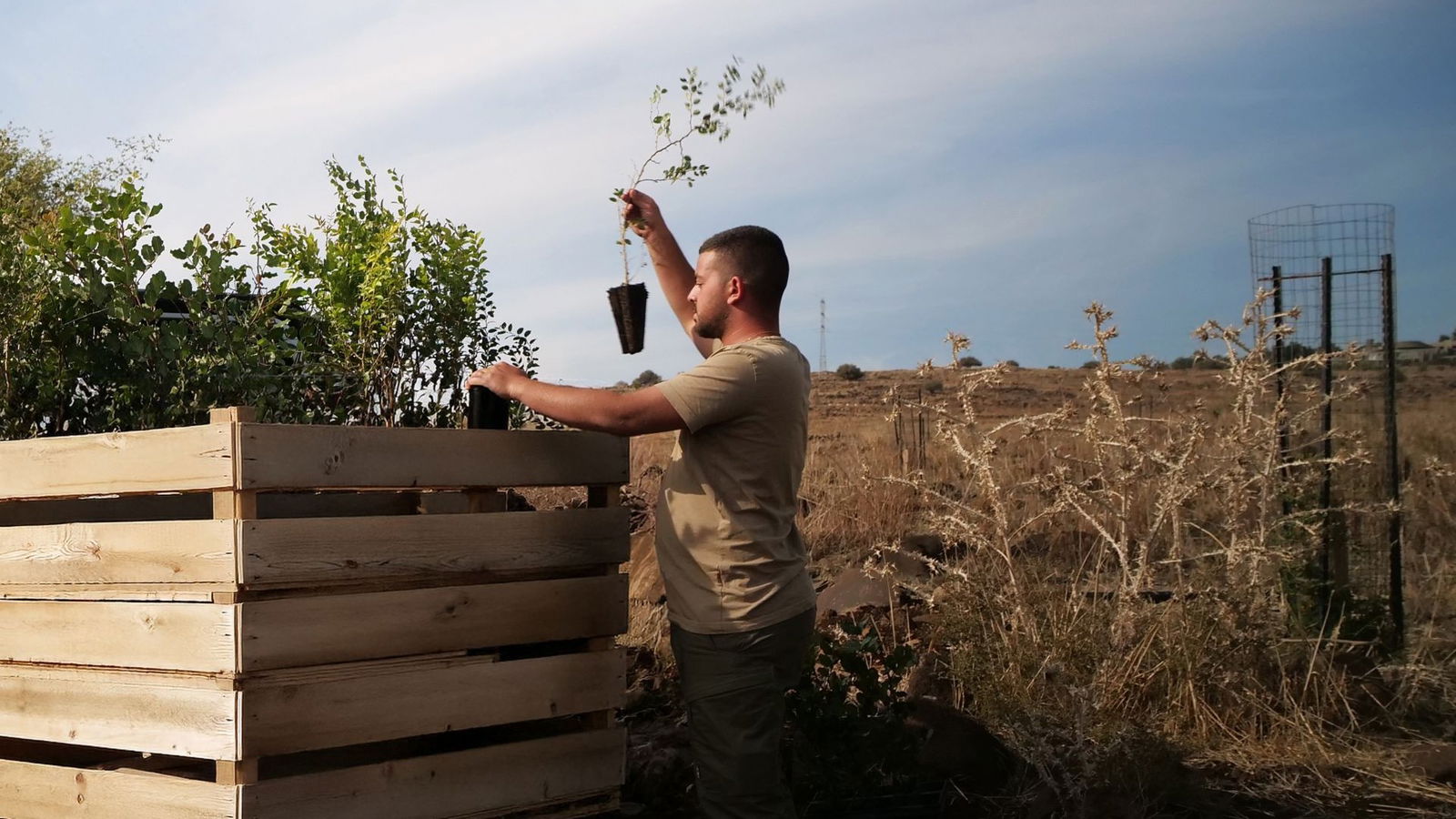 P1012901 - website Nieuwe planten worden geplant in het Amnun woud