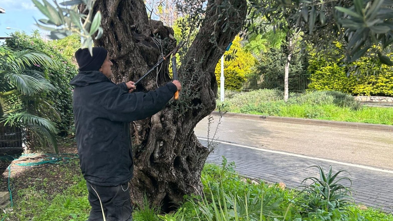 Joanne's blog 119 - Winterkleding in Israël