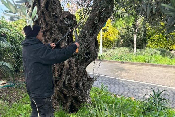 Joanne's blog 119 - Winterkleding in Israël