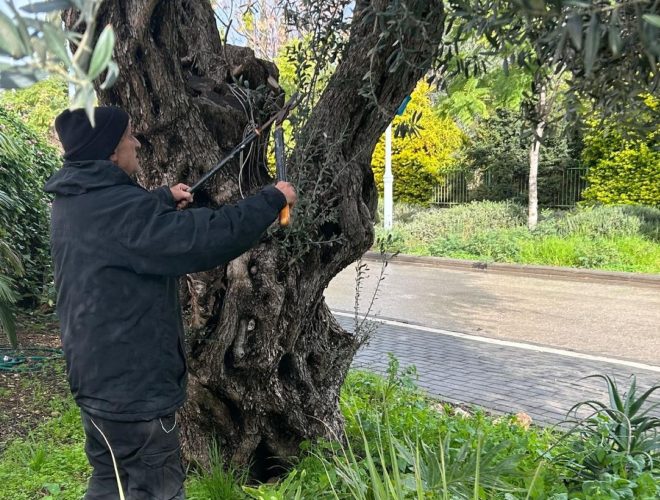 Joanne's blog 119 - Winterkleding in Israël