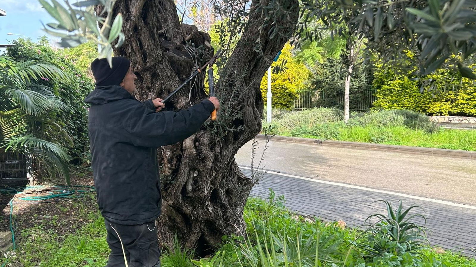 Joanne's blog 119 - Winterkleding in Israël