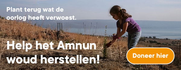 Help het Amnun woud herstellen!