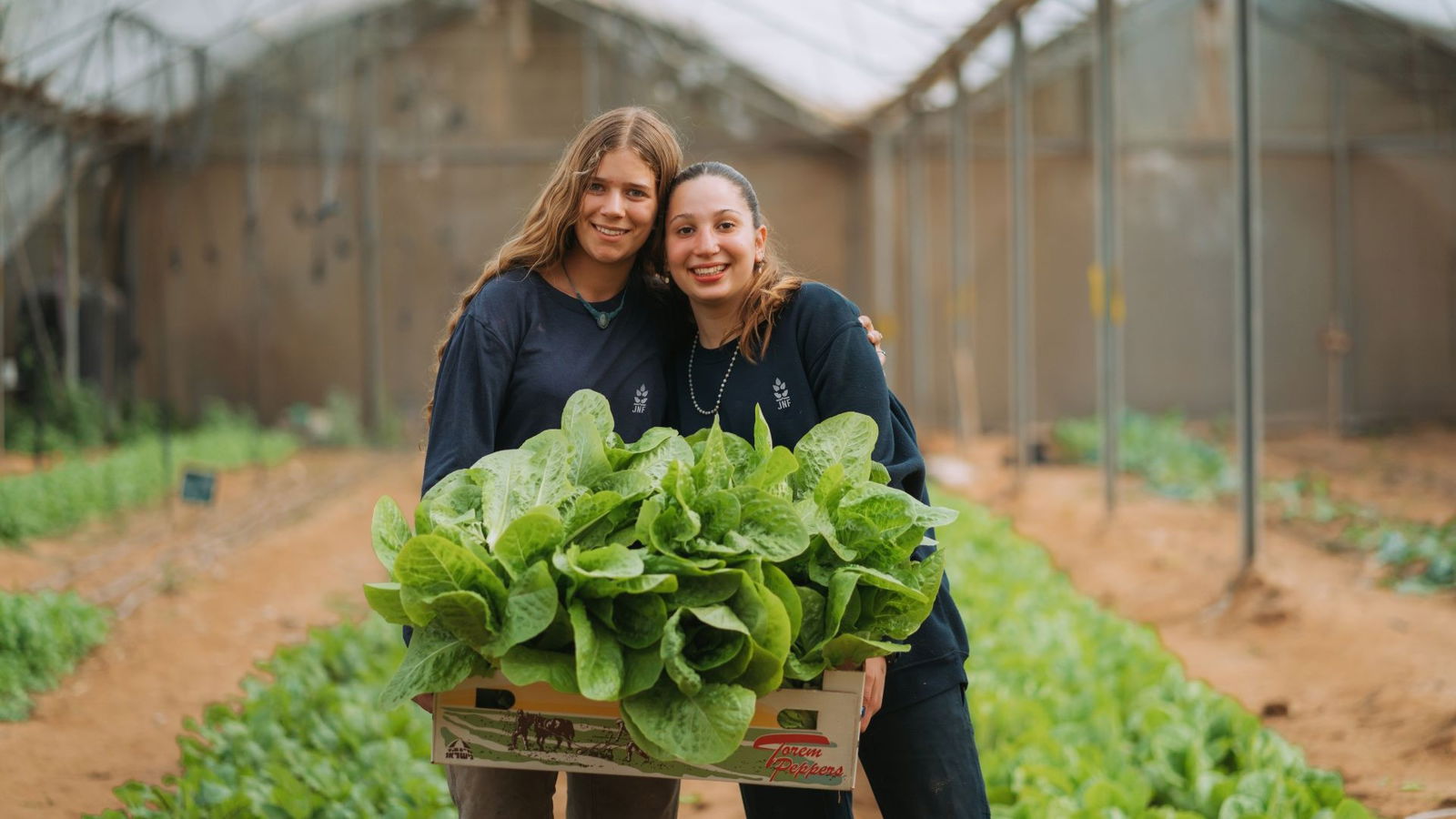 Project Adam V'Adama