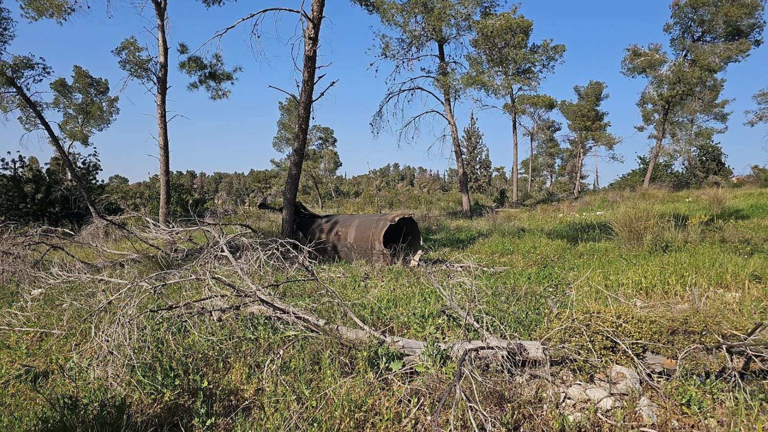 Joanne's blog 129 - raket gevallen in de bossen