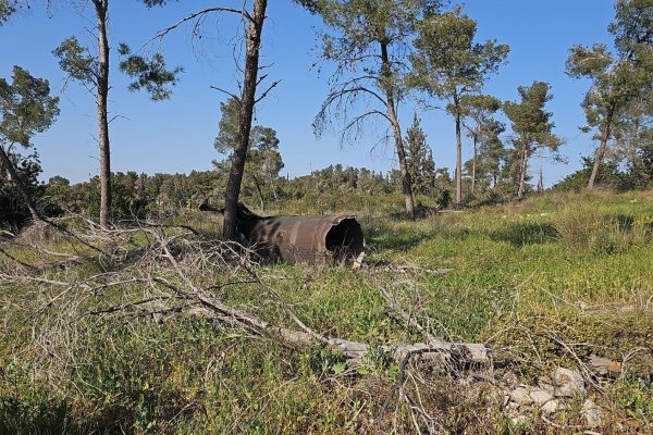 Joanne's blog 129 - raket gevallen in de bossen