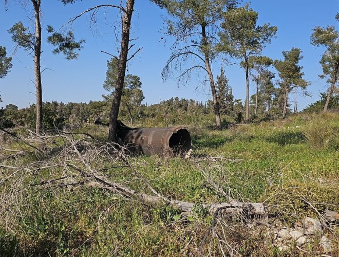 Joanne's blog 129 - raket gevallen in de bossen