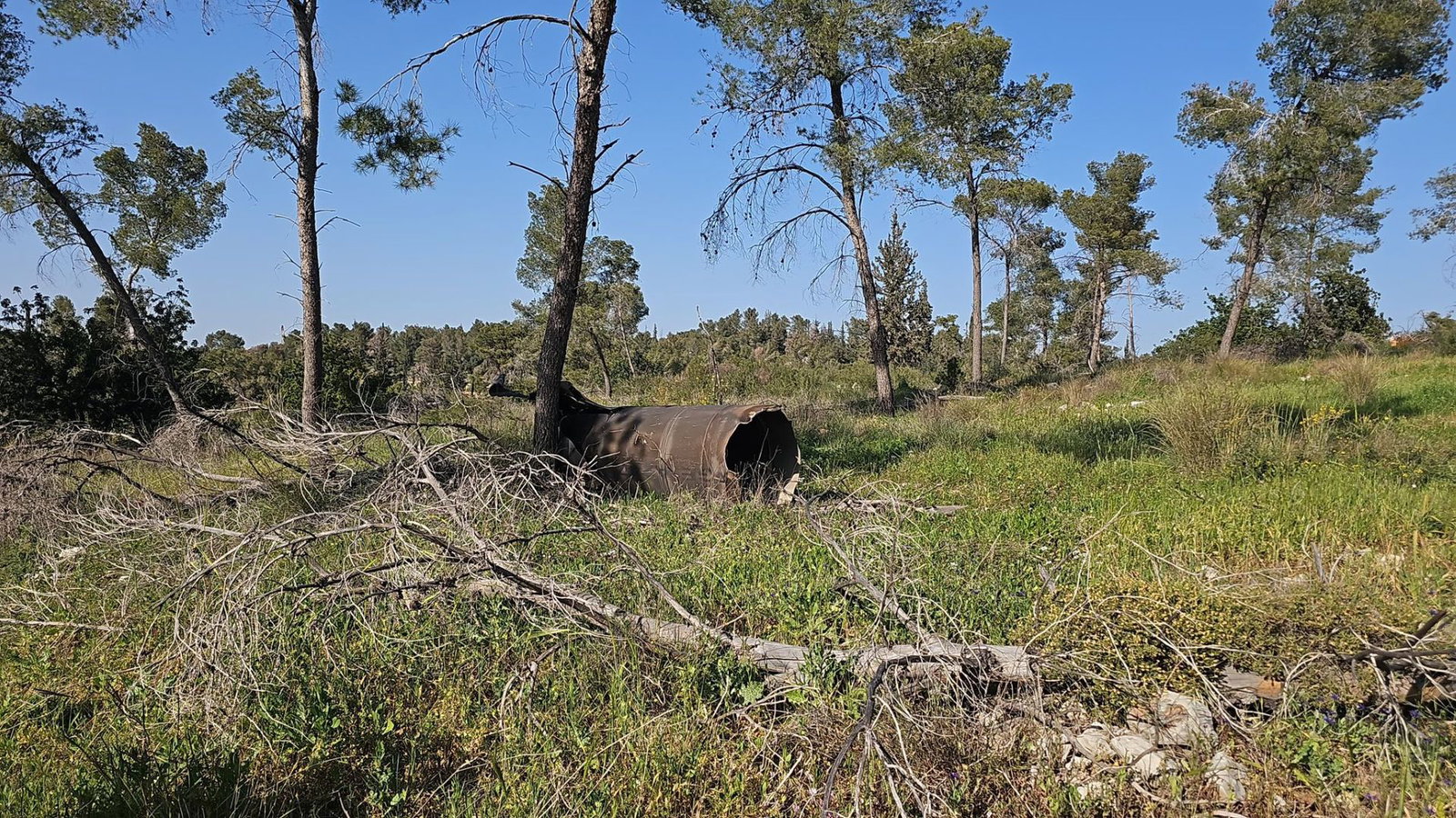 Joanne's blog 129 - raket gevallen in de bossen