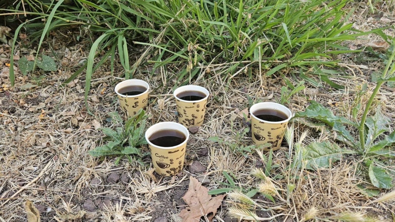 Joanne's blog 138 - kopjes Turkse koffie