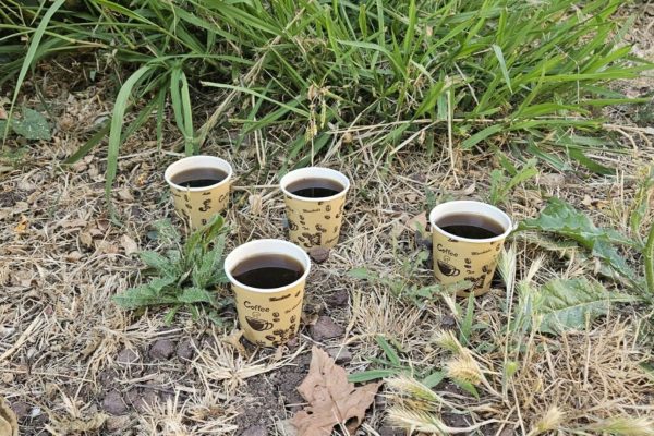 5e26449d-e07c-4893-9382-1b9a4c7f8556 Joanne's blog 138 - kopjes Turkse koffie