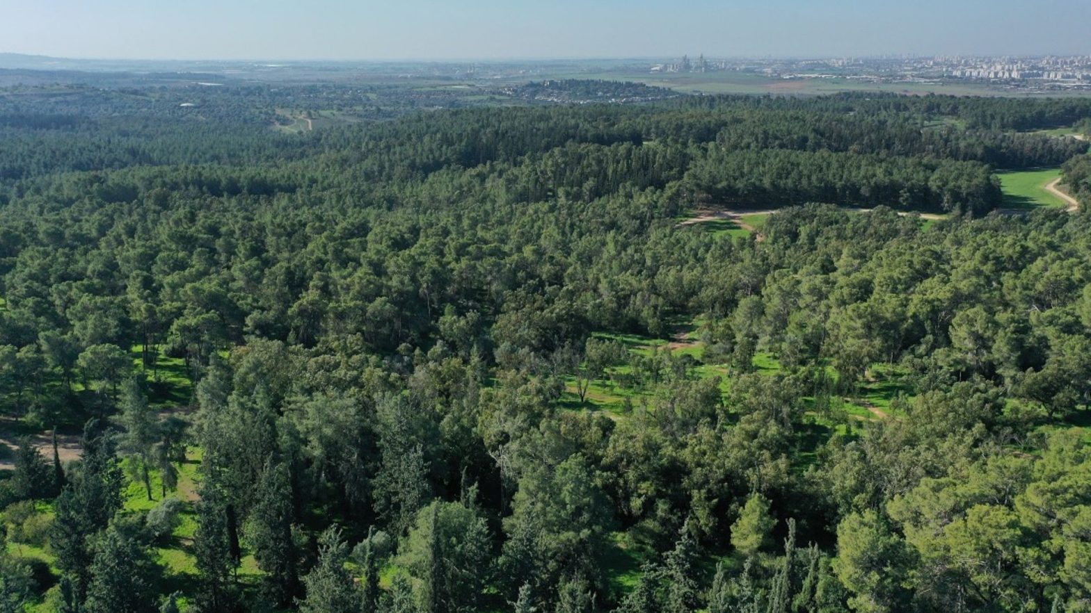 Joanne's blog 141 - Biriya woud Noord- Israël groen