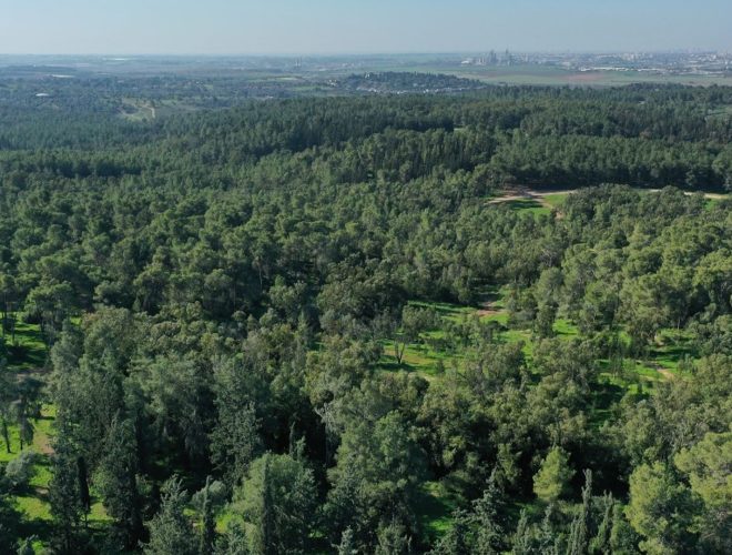 Joanne's blog 141 - Biriya woud Noord- Israël groen